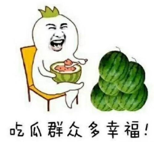 逛娱乐圈吃瓜